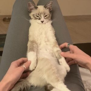 Meet your Posher, Kelsey